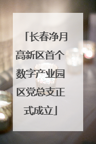 长春净月高新区首个数字产业园区党总支正式成立