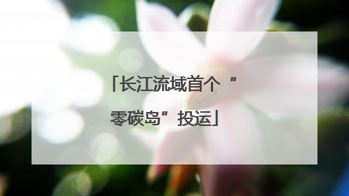 长江流域首个“零碳岛”投运