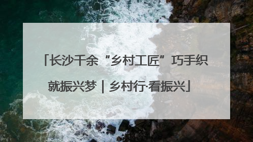 长沙千余“乡村工匠”巧手织就振兴梦｜乡村行·看振兴