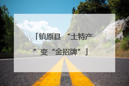 镇原县 “土特产”变“金招牌”