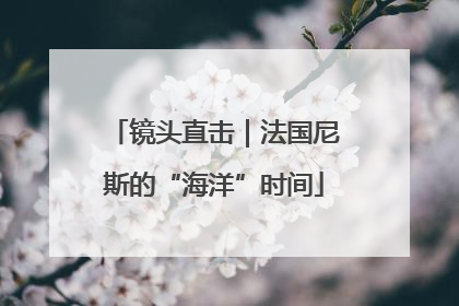 镜头直击｜法国尼斯的“海洋”时间