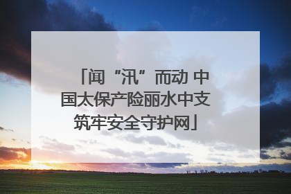 闻“汛”而动 中国太保产险丽水中支筑牢安全守护网