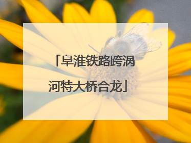 阜淮铁路跨涡河特大桥合龙
