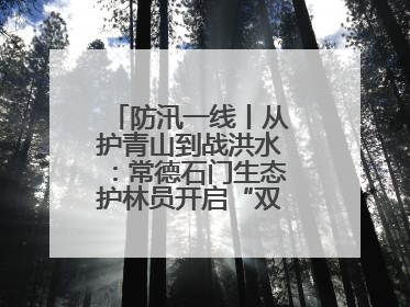 防汛一线丨从护青山到战洪水：常德石门生态护林员开启“双重守护”模式