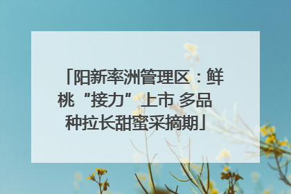 阳新率洲管理区：鲜桃“接力”上市 多品种拉长甜蜜采摘期
