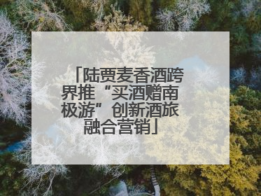 陆贾麦香酒跨界推“买酒赠南极游”创新酒旅融合营销
