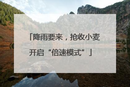 降雨要来，抢收小麦开启“倍速模式”