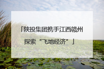 陕投集团携手江西赣州 探索“飞地经济”