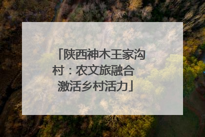 陕西神木王家沟村：农文旅融合 激活乡村活力