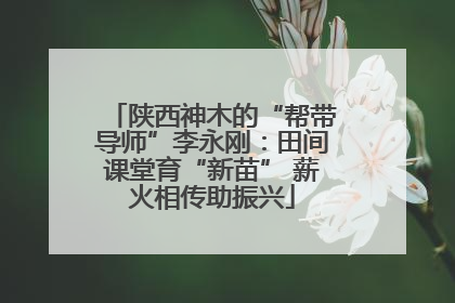 陕西神木的“帮带导师”李永刚：田间课堂育“新苗” 薪火相传助振兴