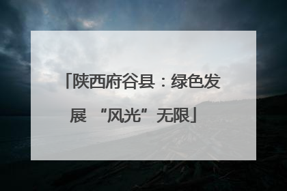 陕西府谷县：绿色发展 “风光”无限