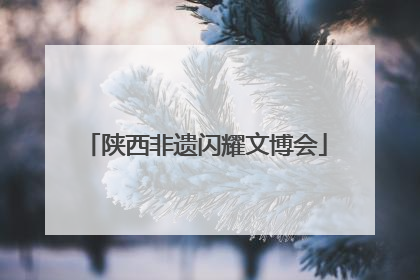 陕西非遗闪耀文博会