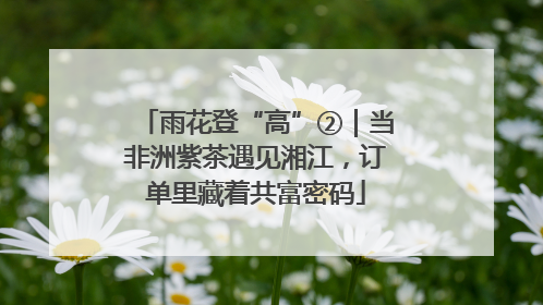 雨花登“高”②｜当非洲紫茶遇见湘江，订单里藏着共富密码