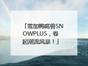 雪加鸭嘴兽SNOWPLUS，卷起潮流风暴！