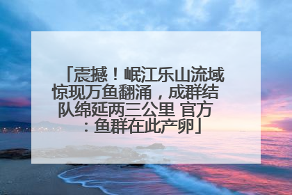 震撼！岷江乐山流域惊现万鱼翻涌，成群结队绵延两三公里 官方：鱼群在此产卵
