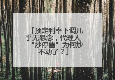 预定利率下调几乎无悬念，代理人“炒停售”为何炒不动了？