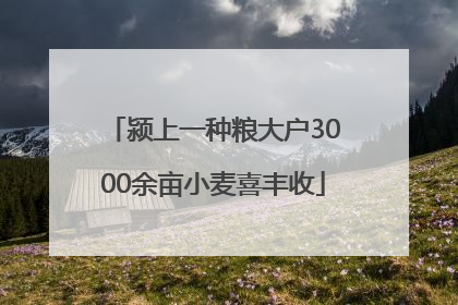 颍上一种粮大户3000余亩小麦喜丰收