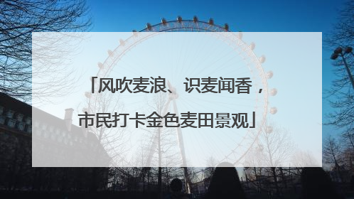 风吹麦浪、识麦闻香，市民打卡金色麦田景观