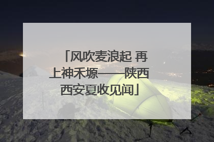 风吹麦浪起 再上神禾塬——陕西西安夏收见闻