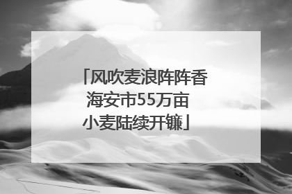 风吹麦浪阵阵香 海安市55万亩小麦陆续开镰