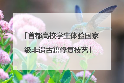 首都高校学生体验国家级非遗古籍修复技艺