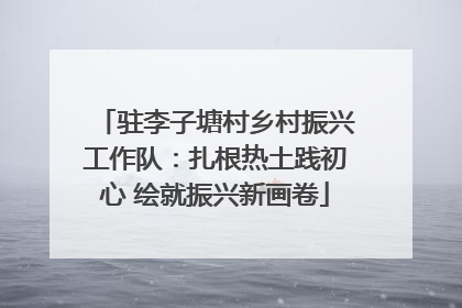 驻李子塘村乡村振兴工作队：扎根热土践初心 绘就振兴新画卷