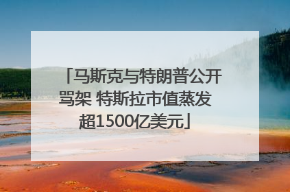 马斯克与特朗普公开骂架 特斯拉市值蒸发超1500亿美元