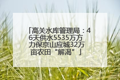 高关水库管理局：46天供水5535万方 力保京山应城32万亩农田“解渴”
