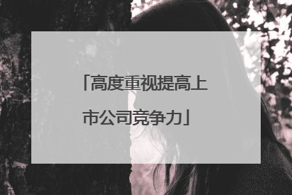 高度重视提高上市公司竞争力