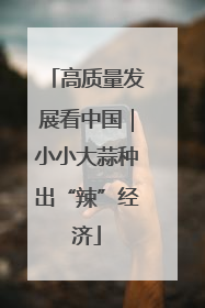 高质量发展看中国｜小小大蒜种出“辣”经济