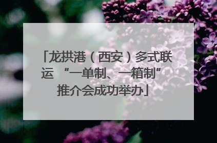 龙拱港（西安）多式联运 “一单制、一箱制” 推介会成功举办