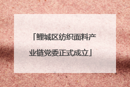 鲤城区纺织面料产业链党委正式成立