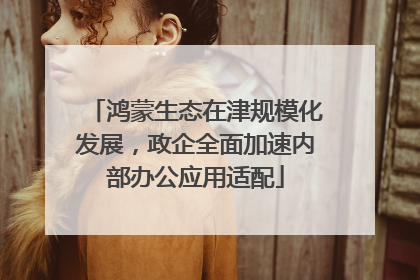 鸿蒙生态在津规模化发展，政企全面加速内部办公应用适配