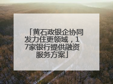 黄石政银企协同发力住更领域，17家银行提供融资服务方案