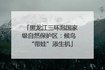 黑龙江三环泡国家级自然保护区：候鸟“带娃”添生机
