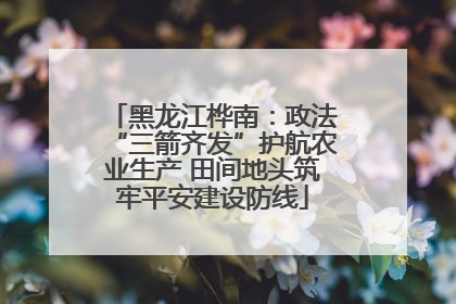 黑龙江桦南：政法“三箭齐发”护航农业生产 田间地头筑牢平安建设防线