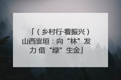 （乡村行·看振兴）山西襄垣：向“林”发力 借“绿”生金