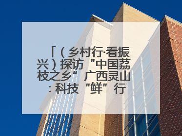 （乡村行·看振兴）探访“中国荔枝之乡”广西灵山：科技“鲜”行 实“荔”C位