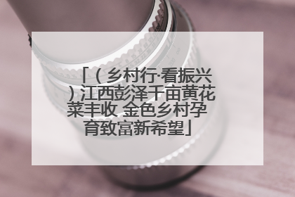 （乡村行·看振兴）江西彭泽千亩黄花菜丰收 金色乡村孕育致富新希望