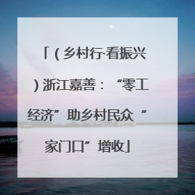 （乡村行·看振兴）浙江嘉善：“零工经济”助乡村民众“家门口”增收