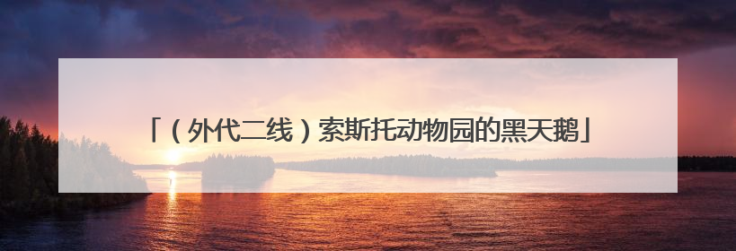 （外代二线）索斯托动物园的黑天鹅