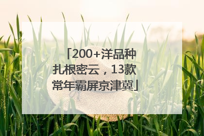 200+洋品种扎根密云，13款常年霸屏京津冀