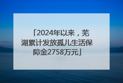 2024年以来，芜湖累计发放孤儿生活保障金2758万元
