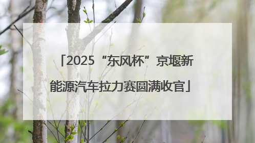 2025“东风杯”京堰新能源汽车拉力赛圆满收官