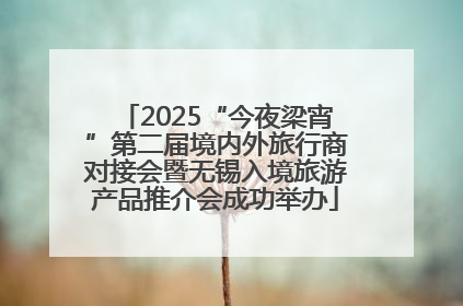2025“今夜梁宵”第二届境内外旅行商对接会暨无锡入境旅游产品推介会成功举办