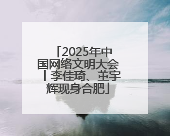 2025年中国网络文明大会丨李佳琦、董宇辉现身合肥