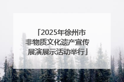 2025年徐州市非物质文化遗产宣传展演展示活动举行