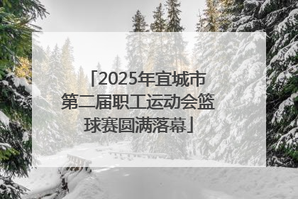 2025年宜城市第二届职工运动会篮球赛圆满落幕