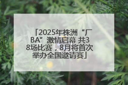 2025年株洲“厂BA”激情启幕 共38场比赛，8月将首次举办全国邀请赛