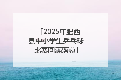 2025年肥西县中小学生乒乓球比赛圆满落幕